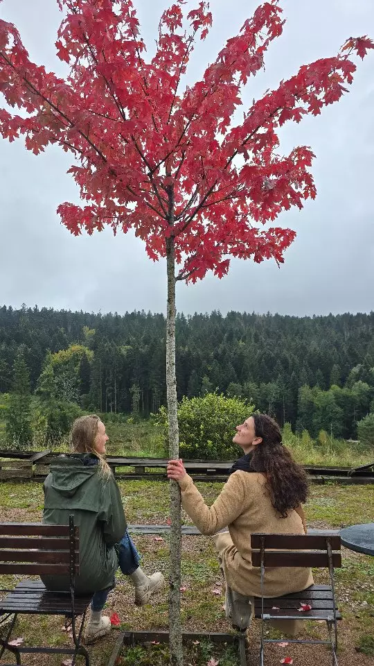 Wait for it… 🐕💨

Adventure awaits 🌄✨ Spots are limited — will you run with us?

Tag someone who’d sprint like this 🏃‍♂️💨😂

#peruretreat #spiritualretreat #plantmedicine #peru #sacredvalley #madrecita #plantmedicinewoman #retreat #awakening #spirituality #apu #plantmedicineretreat #medicinewoman #ayahuasca #erwachen #community #connection #motherearth #ceremony #meditation #embodiment #tantrica #plantmedicineceremony #divinemother #home #cacao #temazcal #integration #support